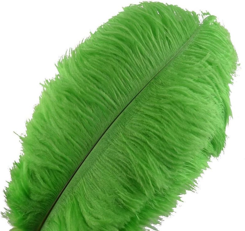 Sowder 10pcs Ostrich Feathers 12-14inch(30-35cm) for Home Wedding Decoration(Lime Green) - Image 1